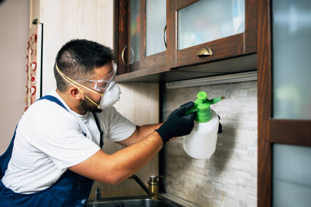 Best Pest Prevention Services  in Tarrytown, NY