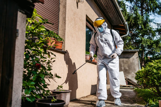 Best Rat Extermination Near Me  in Tarrytown, NY