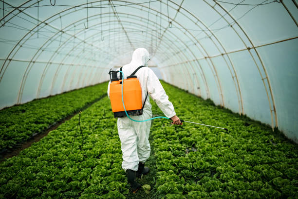 Reliable Tarrytown, NY Pest Control Solutions