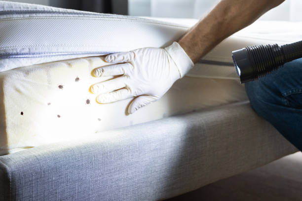 Best Best Pest Control Companies  in Tarrytown, NY