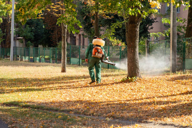 Best Spider Control Near Me  in Tarrytown, NY